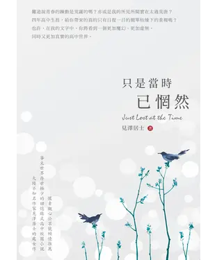 書封 只是當時已惘然