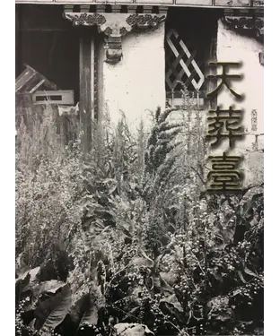 書封 天葬臺