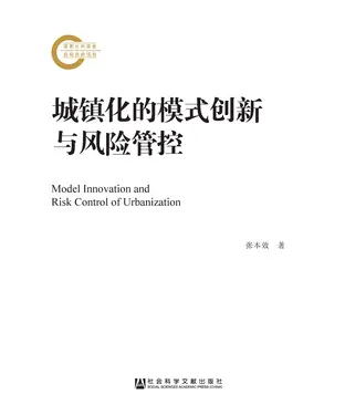 書封 城镇化的模式创新与风险管控